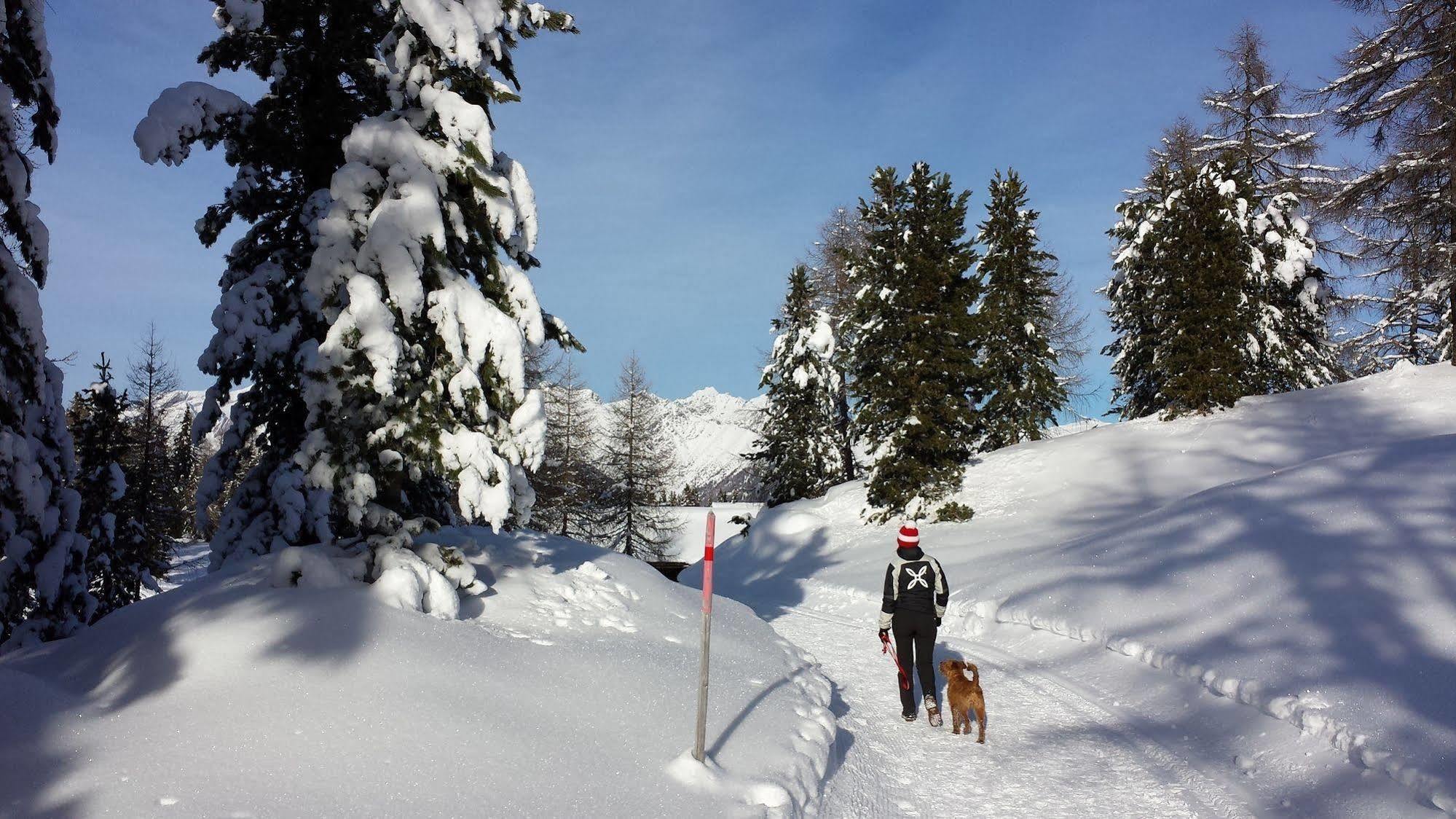 Bed & Breakfast Abis - Dolomites Rio di Pusteria Εξωτερικό φωτογραφία